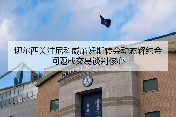 切尔西关注尼科威廉姆斯转会动态解约金问题成交易谈判核心